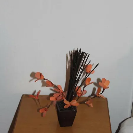 アパート Smile 2 カシオピ